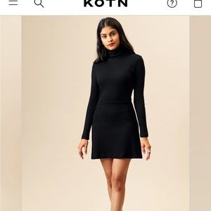 KOTN Turtleneck Mini dress / NWT / size Large!